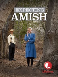 Постер фильма: Ожидая амишей