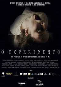 Постер фильма: O Experimento