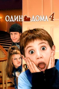 Постер фильма: Один дома 4