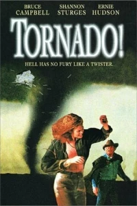 Постер фильма: Торнадо