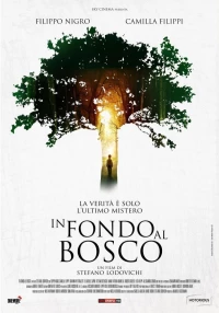 Постер фильма: В глубине леса