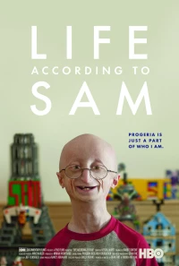 Постер фильма: Жизнь с точки зрения Сэма