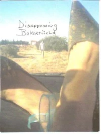 Постер фильма: Disappearing Bakersfield