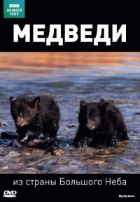 Постер фильма: BBC: Медведи из страны большого неба
