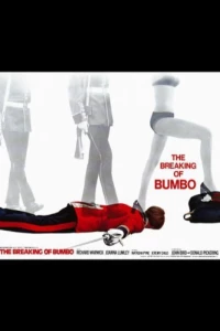 Постер фильма: Нарушение Бамбо