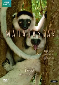 Постер фильма: BBC: Мадагаскар
