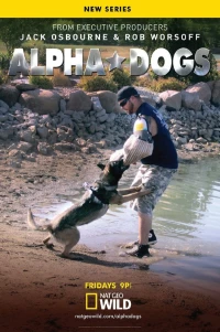 Постер фильма: Собаки альфа