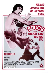 Постер фильма: Брюс и кунг-фу монастыря Шао-Линь