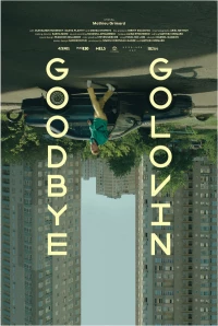 Постер фильма: Прощай, Головин!