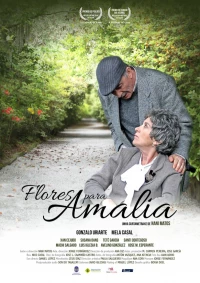 Постер фильма: Цветы для Амалии