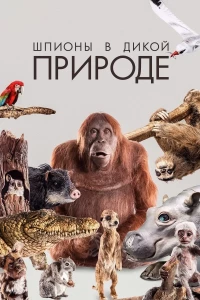 Постер фильма: Шпионы в дикой природе