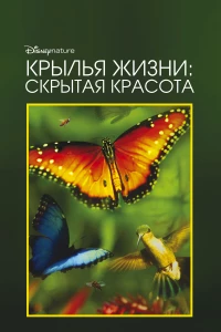 Постер фильма: Крылья жизни: Скрытая красота