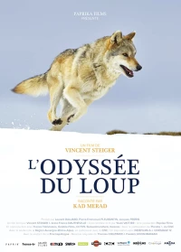 Постер фильма: Путешествие волка