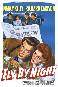 Постер фильма: Ночной беглец