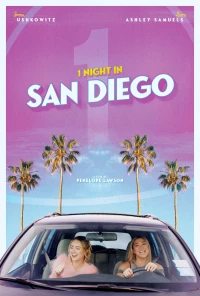 Постер фильма: Одна ночь в Сан-Диего