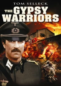 Постер фильма: Воины-цыгане
