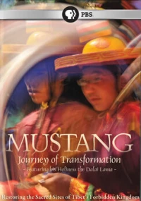 Постер фильма: Мустанг: Поездка преобразования