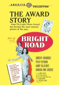 Постер фильма: Bright Road
