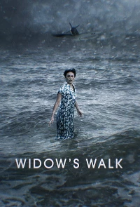 Постер фильма: Вдова