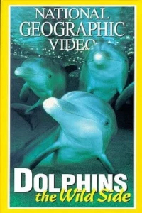 Постер фильма: Dolphins: The Wild Side