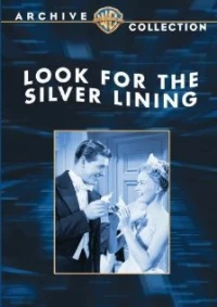 Постер фильма: Ища серебряную подкладку
