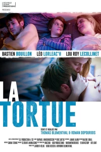 Постер фильма: La tortue