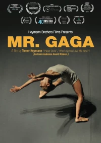 Постер фильма: Мистер Гага