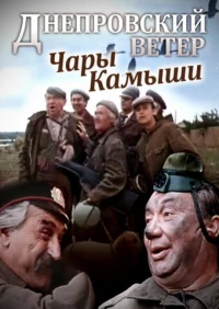 Постер фильма: Днепровский ветер. Чары-камыши