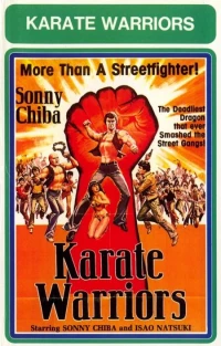 Постер фильма: Воины карате
