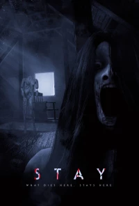 Постер фильма: Stay