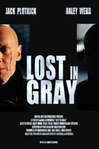 Постер фильма: Lost in Gray