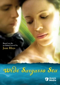 Постер фильма: Широкое Саргассово море