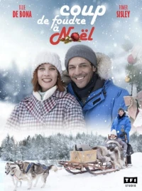 Постер фильма: Coup de Foudre à Noël