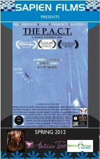 Постер фильма: The P.A.C.T.