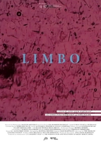Постер фильма: Limbo