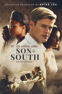 Постер фильма: Сын юга