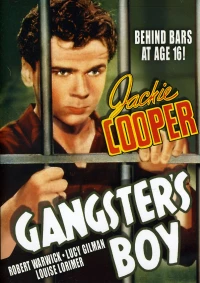 Постер фильма: Gangster's Boy