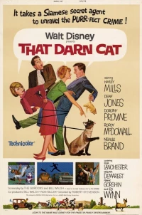 Постер фильма: Эта дикая кошка