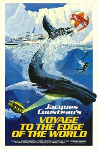 Постер фильма: Voyage au bout du monde