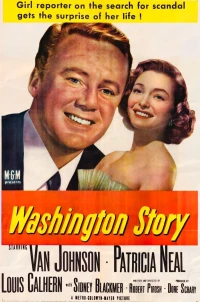 Постер фильма: Вашингтонская история