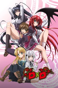 Постер фильма: Старшая школа DxD