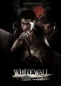 Постер фильма: Белая стена