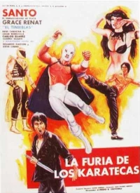 Постер фильма: La furia de los karatecas