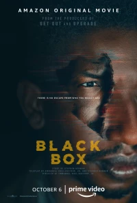 Постер фильма: Чёрный ящик