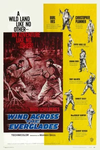 Постер фильма: Ветер над равнинами