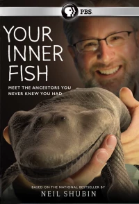 Постер фильма: Внутренняя рыба
