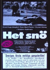 Постер фильма: Het snö