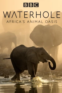 Постер фильма: Водопой: Африканский оазис для животных