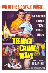 Постер фильма: Teen-Age Crime Wave