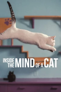 Постер фильма: Внутри разума кошки